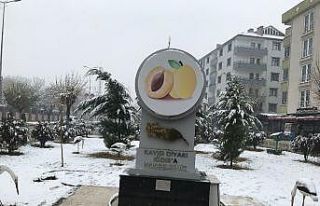 Kar uyarısı yapılan Iğdır beyaz gelinliğini...