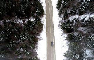 Kar yağdı, Uludağ’da çam ağaçları görsel...