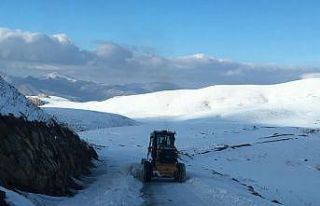 Kar yağışı sonrası 3 bin rakımlı yaylada kalan...