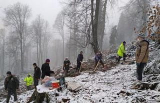 Karabük’te kar yağışına rağmen 5.5 ton kayın...