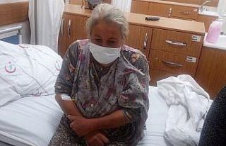 Kardeşlerin ağaç kesme tartışması aile dramına...