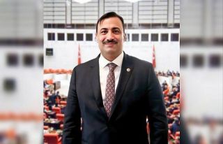 Karikatüristlerin davetine bir tepki de AK Partili...