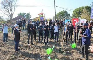 Karpuzlu Gölcük’te lavanta fidanları dualarla...