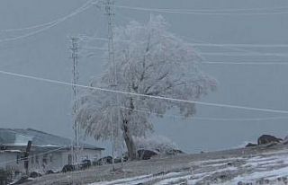 Kars’ta ağaçlar kırağı tuttu