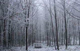 Kartepe yeni güne böyle uyandı