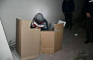Karton koli içerisinde yatarken yakalandı