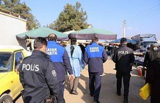 Kavak korona teyakkuzunda