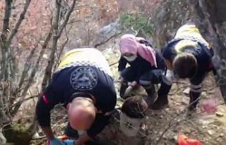 Kayalıklardan düşen avcı ölümden döndü