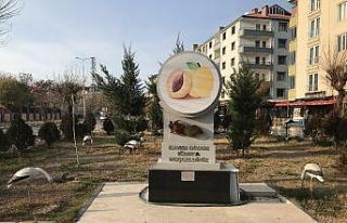 Kayısı diyarında sokaklar sessizliğe büründü