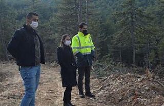 Kaymakam Yazıcı orman tensil çalışmalarını...