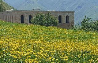 “Kayme Sarayı” fotoğrafının bira kutusuna...