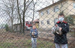 Kazan dairesi patladı, yaptıkları ilk iş kümesten...