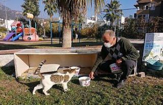 Kemer Belediyesi sokak hayvanlarının yanında