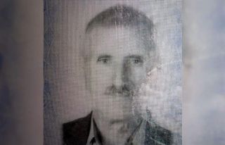 Kestiği ağacında altında kalarak can verdi