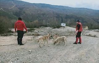 Kimsesiz hayvanları unutmadılar