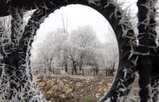 Kırağı güzel görüntüler oluşturdu