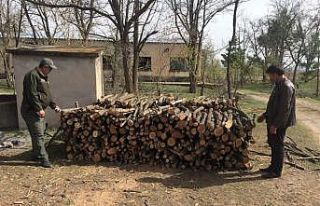 Kırşehir’de, orman alanlarında 2 yılda 1 milyon...