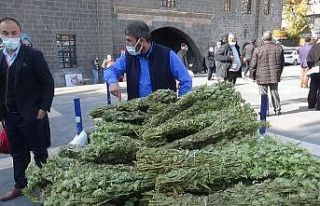 Kış aylarının vazgeçilmez içeceği adaçayına...