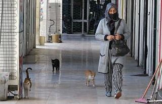 Kısıtlamada onları unutmadılar