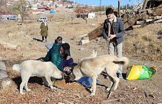 Kısıtlamada sokak hayvanlarını unutmadılar
