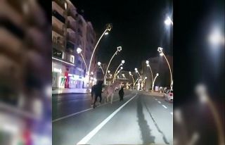 Kısıtlamada sokaklar atlara kaldı