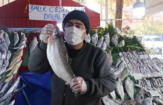 Kısıtlamada vatandaşlardan balıklara yoğun ilgi
