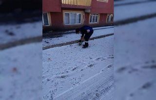 Kısıtlamalarda sokak hayvanları unutulmuyor