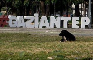 Kısıtlamaların hayalet şehri Gaziantep’te sessizlik