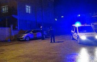 Kısıtlamaya uymayan kardeşler terör estirdi: 3...