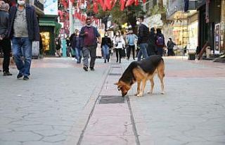 Kocaeli’de merkezinde iki caddeye girişlere sınırlama...