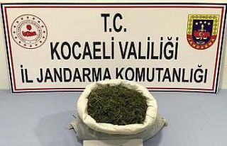 Kocaeli’de ormanlık alana gizlenmiş 2 kilo 330...