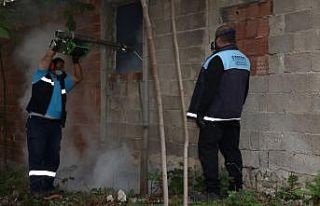 Kocaeli’de sivrisineklerle kışlık mücadele başladı