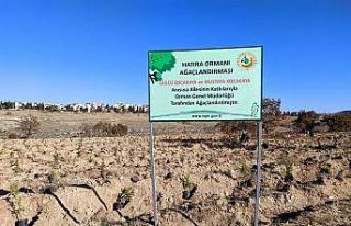 Kocakaya ailesi için tesis edilen ‘hatıra ormanı’na...