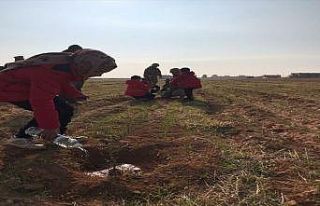 Komandolar, Barış Pınarı Harekâtı sırasında...