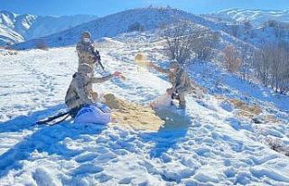 Komandolar, doğaya yem bıraktı