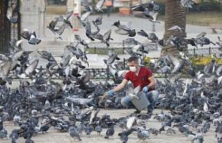Konak evde, belediye görevde