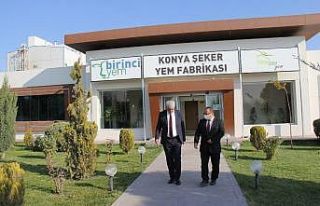 Konya Şeker mısır üreticisinin yüzünü güldürüyor