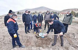 Konya’da ilk kez sulamasız fidan dikim çalışması...