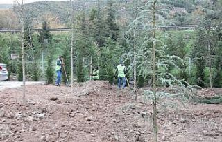 Körfez’de yeşil alanlar arttırılıyor