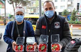 Korona virüs dağ çileğine olan ilgiyi arttırdı