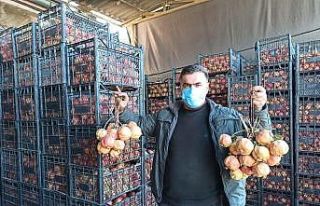 Korona virüs Zivzik narına talebi artırdı