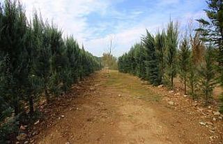 Korona virüsünden hayatı kaybedenler için 75 bin...