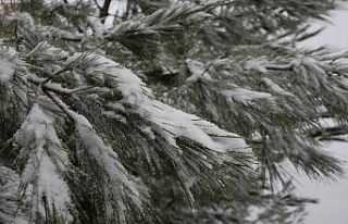 Korudağ’a düşen kar kışı müjdeledi