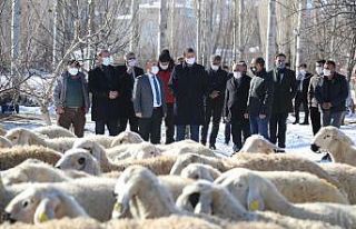 Köylere geri göçü sağlayacak proje ilk meyvelerini...