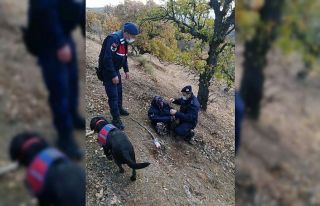 Köyünden 2,5 metre uzakta sağ olarak bulundu