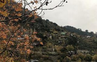 Kozan’da hüzünlü kış manzaraları