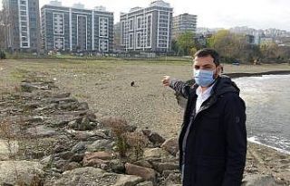 Kumsalıyla tanınan plaja yapılmak istenen proje...