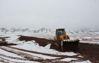 Kuraklıktan dolayı ekemedikleri 600 dönüm araziye...