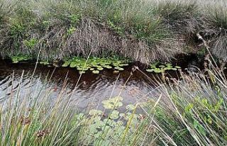 Kuş Cenneti fotoğraf tutkunlarını bekliyor