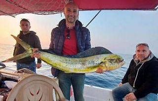 Kuşadası Körfezi’nde 15 kiloluk lambuka balığı...